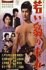 Poster for Young Panther