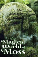Poster for The Magical World of Moss