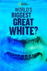 Poster for World's Biggest Great White?