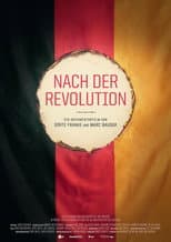 Poster for After the Revolution