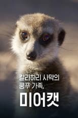 Poster for 칼라하리 사막의 쿵푸 가족, 미어캣
