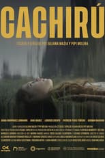 Poster for Cachirú