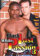 Poster for Black Lust White Passion 3