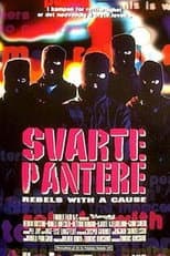 Poster for Svarte pantere