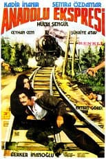 Poster for Anadolu Ekspresi