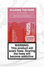 Poster for SCARING THE HOES: DLC Pack