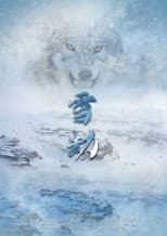 Poster for 雪劫
