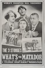 Poster for What's the Matador?