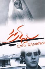 Poster for Cold Shadows