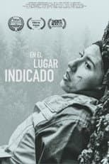 Poster for En el lugar indicado