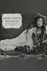Poster for Sonic Youth: Mississippi Nights, St. Louis