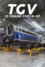 Poster for TGV : Le Grand Check-up