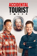 Poster for Accidental Tourist