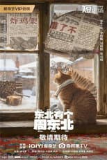 Poster for 东北有个周东北