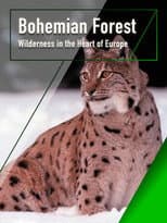 Poster for The Bohemian Forest - Wilderness in the Heart of Europe