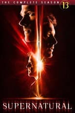 Poster for Season 13