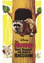 Poster for The Hound That Thought He Was a Raccoon