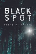 Poster for Black Spot