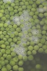 Poster for Peas