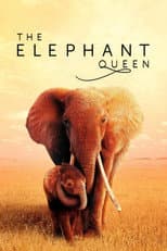 Poster for The Elephant Queen