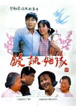 Poster for 酸辣姻缘