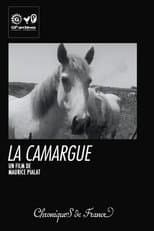Poster for La Camargue
