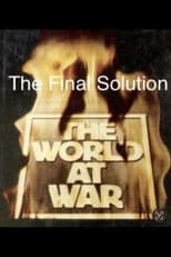 Poster for The Final Solution