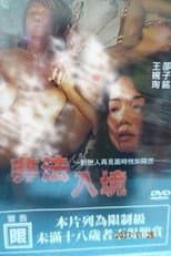 Poster for Illegal Entry