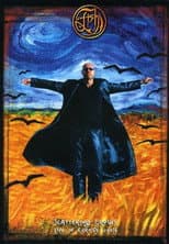 Poster for Fish - Scattering Crows live in Europe