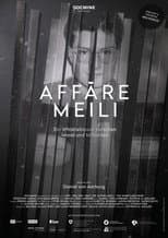 Poster for Die Affäre Meili