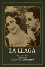 Poster for La llaga