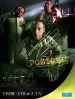 Poster for Cztery poziomo