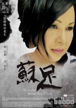 Poster for 苏足