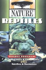 Poster for The Reptiles: Alligators & Crocodiles