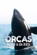 Poster for Orcas - Vorstoss in die Arktis