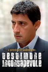 Poster for L'avvocato Guerrieri