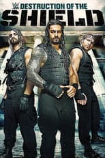 Poster for The Destruction of The Shield