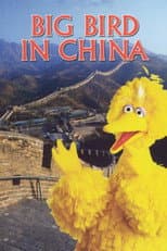 Poster for Big Bird in China