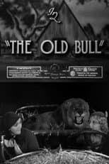 Poster for The Old Bull