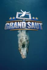 Poster for Le grand saut