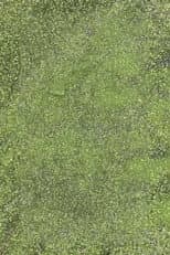Poster for Duckweed