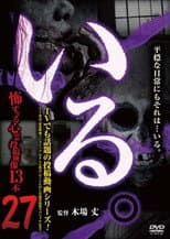 Poster for 「Iru.」~ Kowasugiru Tōkō Eizō 13-hon ~ Vol.27