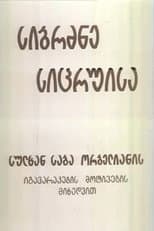 Poster for Wisdom of Lies