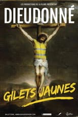 Poster for Dieudonné - Gilets Jaunes