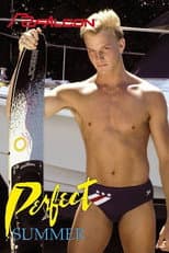 Poster for Perfect Summer