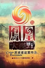Poster for 凤凰大视野
