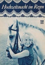 Poster for Wedding Night In The Drizzle