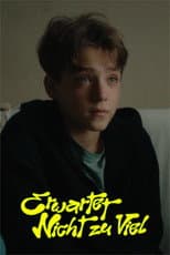 Poster for Erwartet nicht zu viel