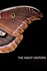 Poster for The Night Visitors