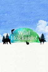 Poster for Wild Hokkaido!
